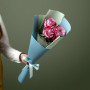 3 фиолетовые розы