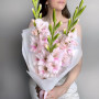 3 розовых гладиолуса