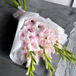 5 розовых гладиолусов