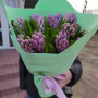21 фиолетовый гиацинт
